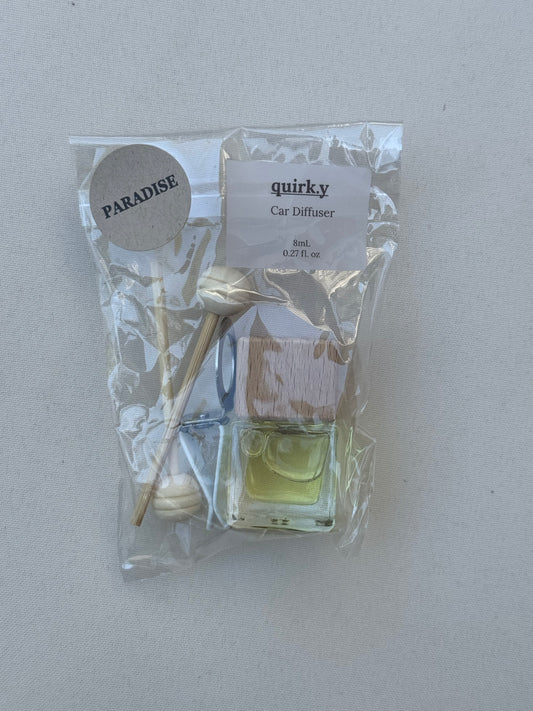 Vent Clip Car Diffusers